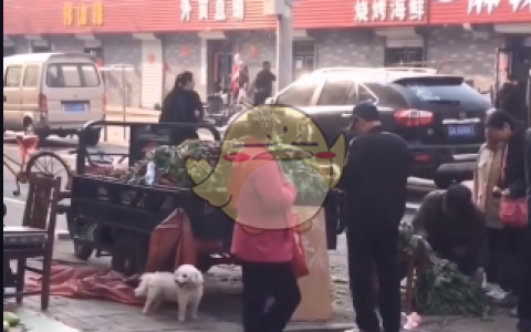 抖阴菠菜贱卖是什么梗 菠菜贱卖出处含义介绍