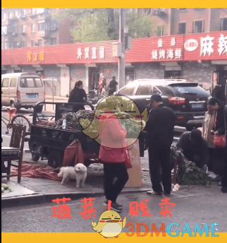 抖阴菠菜贱卖是什么梗 菠菜贱卖出处含义介绍