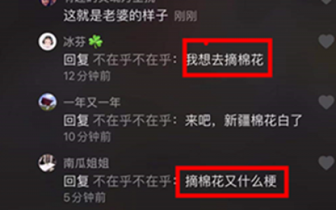 抖阴摘棉花什么意思 抖阴新疆摘棉花含义出处介绍
