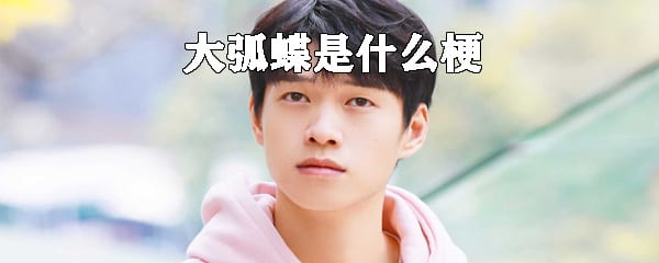 抖阴大弧蝶是什么梗 大弧蝶什么意思