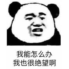 抖阴朋友圈自由是什么梗 抖阴朋友圈自由意思