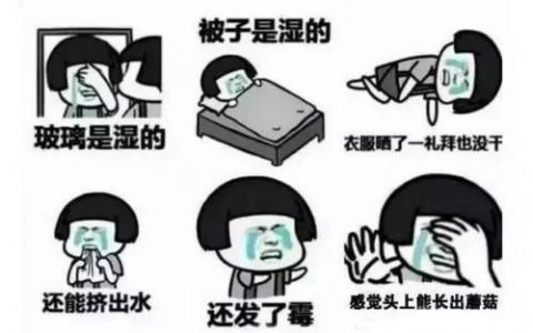 抖阴潮房贵族什么梗 潮房贵族含义出处介绍