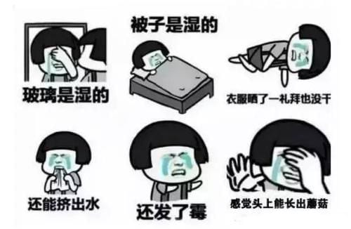 抖阴潮房贵族什么梗 潮房贵族含义出处介绍