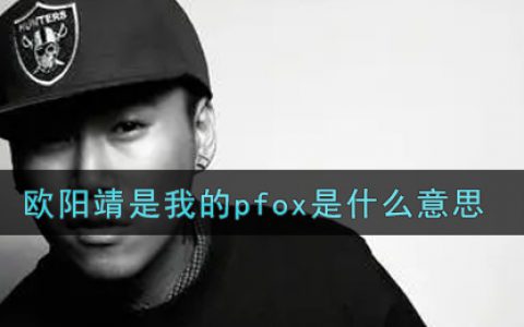 欧阳靖是我的pfox是什么意思 欧阳靖是我的pfox意思介绍