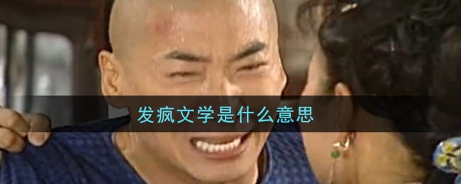 发疯文学是什么意思 发疯文学意思介绍