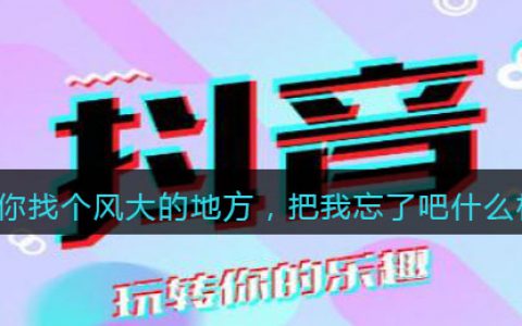 你找个风大的地方，把我忘了吧什么梗 抖阴你找个风大的地方，把我忘了吧是什么意思