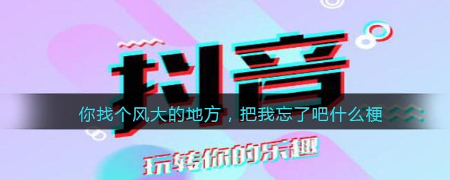 你找个风大的地方，把我忘了吧什么梗 抖阴你找个风大的地方，把我忘了吧是什么意思