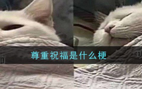 尊重祝福是什么梗 尊重祝福梗的出处介绍
