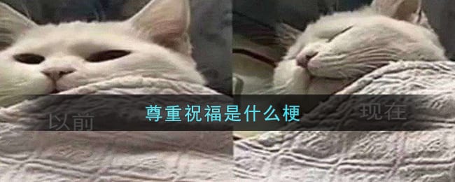 尊重祝福是什么梗 尊重祝福梗的出处介绍