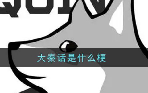 大秦话是什么梗 大秦话梗的出处介绍