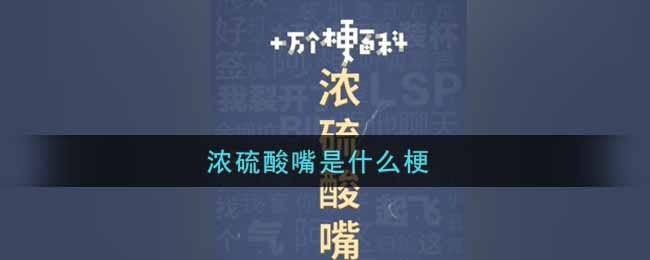 浓硫酸嘴是什么梗 浓硫酸嘴梗的出处介绍