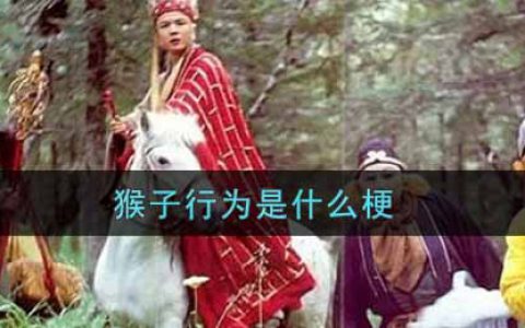 猴子行为是什么梗 猴子行为梗的出处介绍