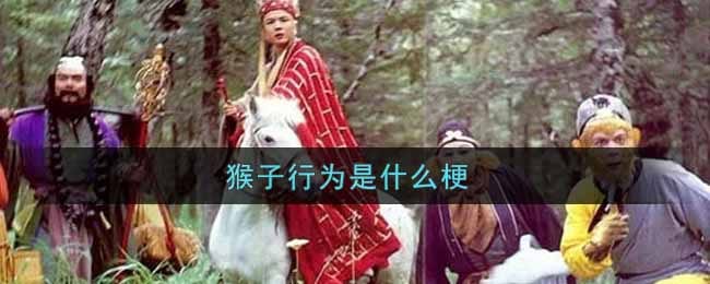 猴子行为是什么梗 猴子行为梗的出处介绍
