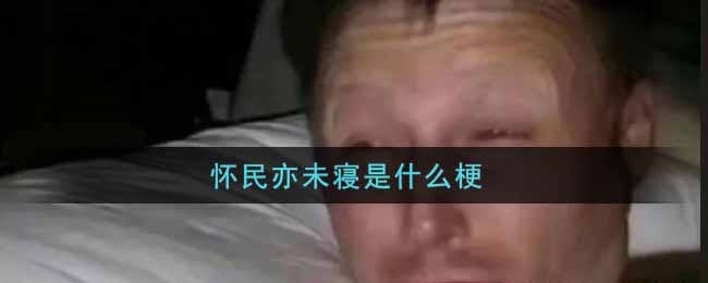 怀民亦未寝是什么梗 怀民亦未寝梗的出处介绍