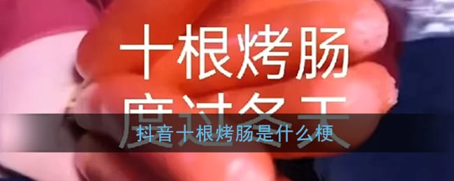 抖阴十根烤肠是什么梗 十根烤肠梗含义出处