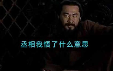 丞相我悟了什么意思 丞相我悟了意思介绍