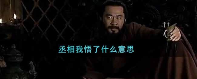 丞相我悟了什么意思 丞相我悟了意思介绍