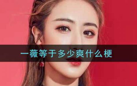 一薇等于多少爽什么梗 一薇等于多少爽梗的意思及出处介绍