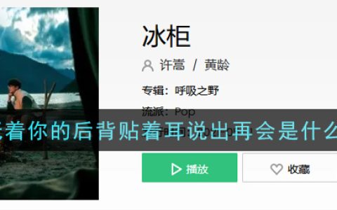 轻抚着你的后背贴着耳说出再会是什么歌 冰柜歌曲歌词