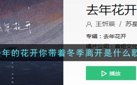 去年的花开你带着冬季离开是什么歌 去年花开歌曲歌词