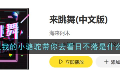 骑上我的小骆驼带你去看日不落是什么歌 来跳舞歌曲歌词