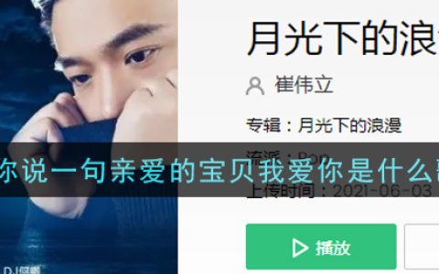 对你说一句亲爱的宝贝我爱你是什么歌 月光下的浪漫歌曲歌词