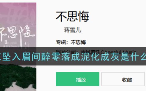 落花坠入眉间醉零落成泥化成灰是什么歌 不思悔歌曲歌词