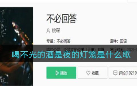 喝不光的酒是夜的灯笼是什么歌 不必回答歌曲歌词