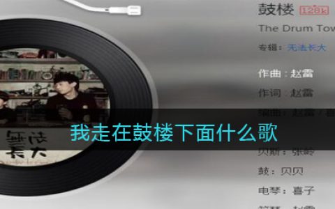 抖阴我走在鼓楼下面什么歌 鼓楼&nbsp;歌曲歌词