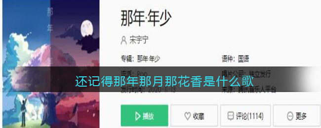 还记得那年那月那花香是什么歌 那年·年少歌曲歌词