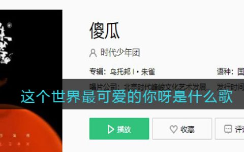 这个世界最可爱的你呀是什么歌 傻瓜歌曲歌词