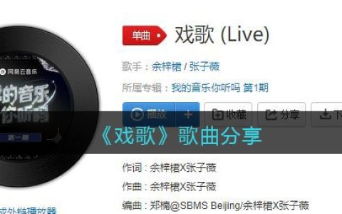 你在听吗我的血流淌着你的热一辈子够吗是什么歌 戏歌歌曲歌词