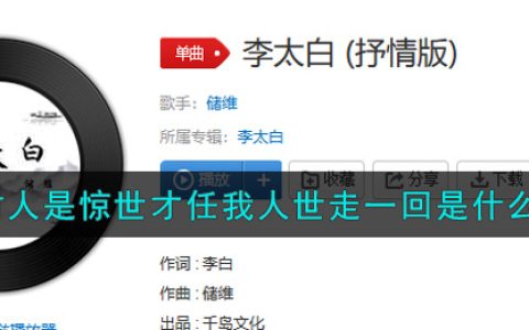 何时人是惊世才任我人世走一回是什么歌 李太白歌曲歌词