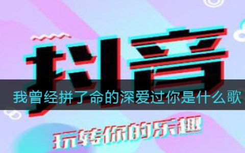 我曾经拼了命的深爱过你是什么歌 我曾拼命爱过你歌曲歌词