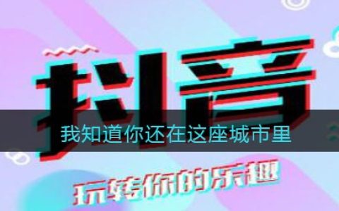 我知道你还在这座城市里是什么歌 忆爱歌曲歌词