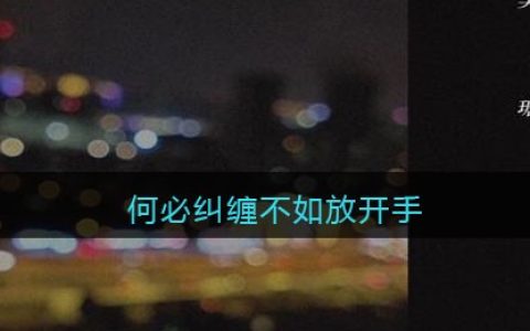 何必纠缠不如放开手是什么歌 何必抱歉歌曲歌词