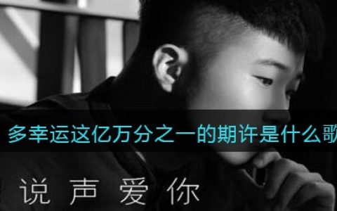 多幸运这亿万分之一的期许是什么歌 只想说声爱你歌曲歌词