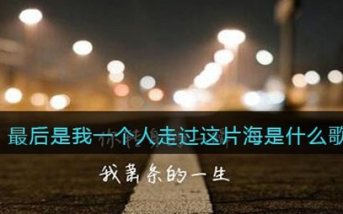 最后是我一个人走过这片海是什么歌 最后的人歌曲歌词