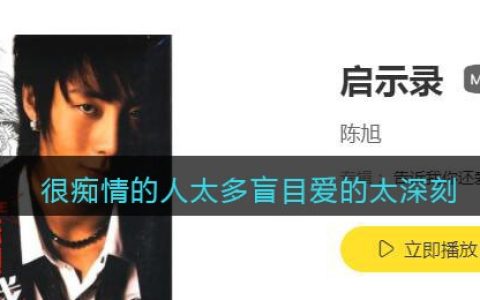 很痴情的人太多盲目爱的太深刻是什么歌 启示录歌曲歌词