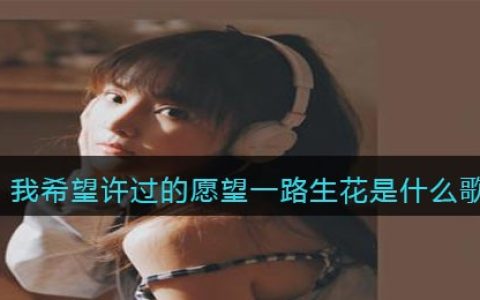 我希望许过的愿望一路生花是什么歌 一路生花歌曲歌词