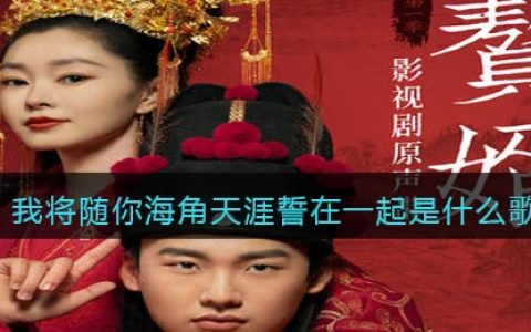 我将随你海角天涯誓在一起是什么歌 与君相依歌曲歌词