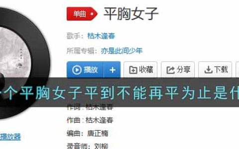 她是一个平胸女子平到不能再平为止是什么歌 平胸女子歌曲歌词