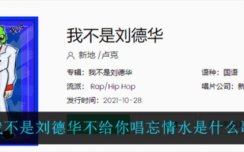 我不是刘德华不给你唱忘情水是什么歌 我不是刘德华歌曲歌词