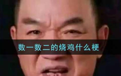 数一数二的烧鸡什么梗 数一数二的烧鸡是什么意思