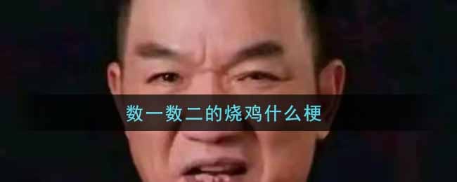 数一数二的烧鸡什么梗 数一数二的烧鸡是什么意思
