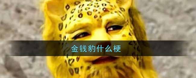 金钱豹什么梗 金钱豹是什么意思