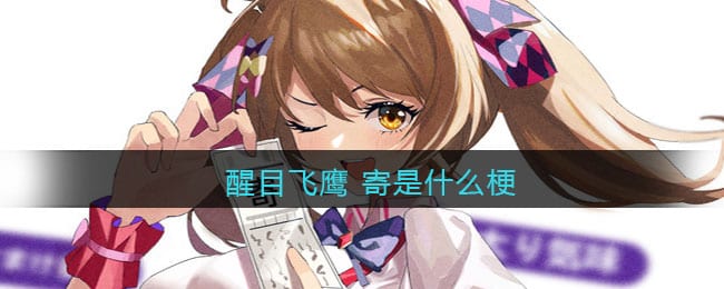 醒目飞鹰 寄是什么梗 醒目飞鹰 寄什么意思