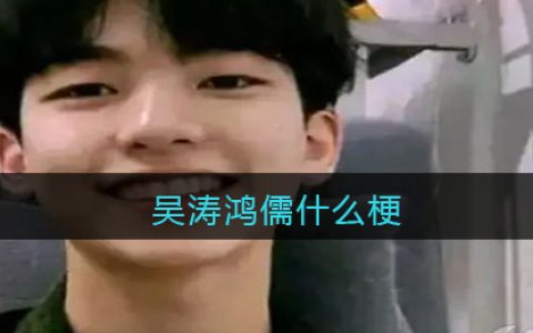 吴涛鸿儒什么梗 吴涛鸿儒什么意思