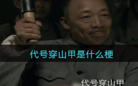 代号穿山甲是什么梗/意思 代号穿山甲热梗含义出处
