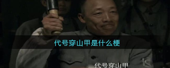 代号穿山甲是什么梗/意思 代号穿山甲热梗含义出处
